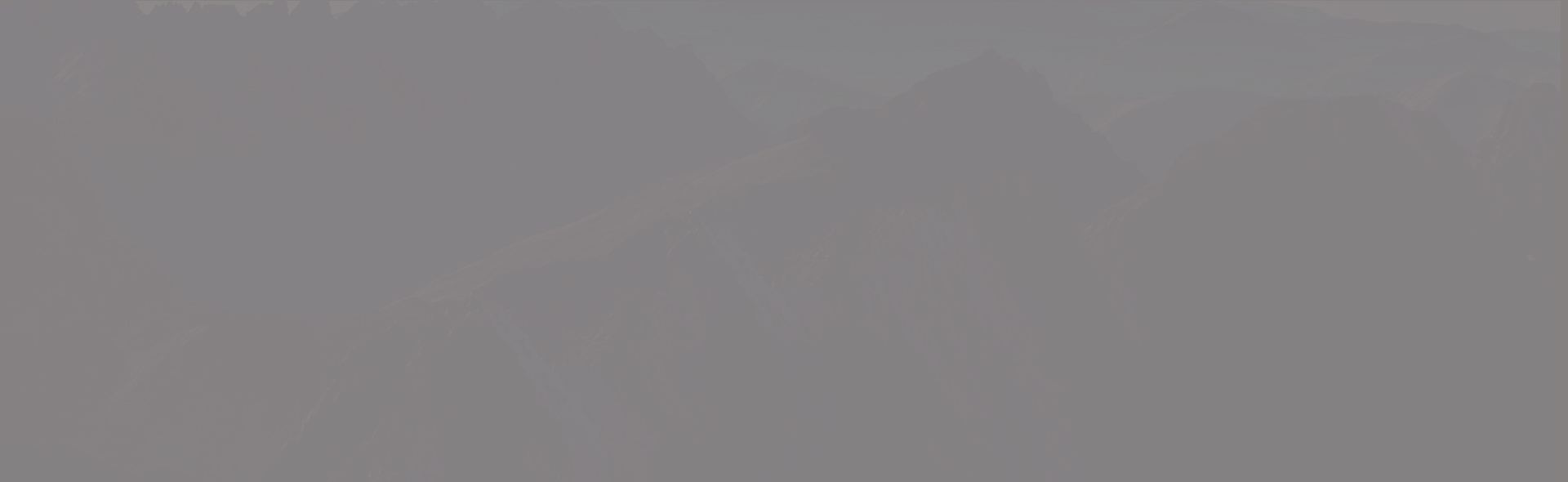 ��˾����